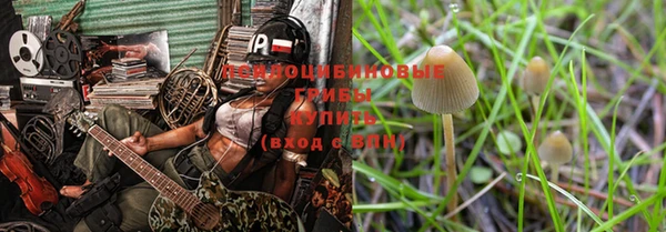 тгк Абинск