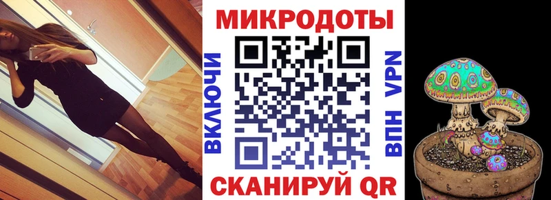 Псилоцибиновые грибы Cubensis  Горячеводский 